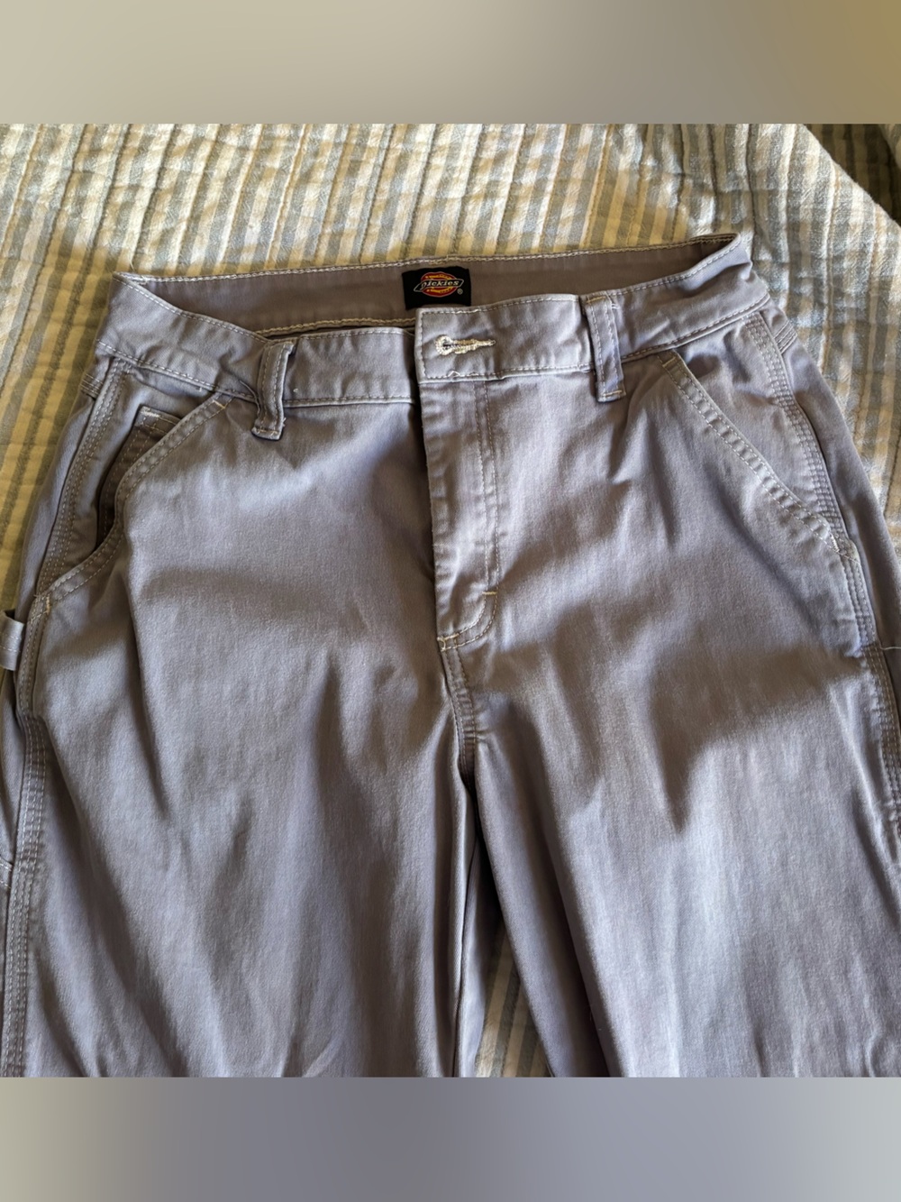 Dickies Cargo Pants in Light Gray